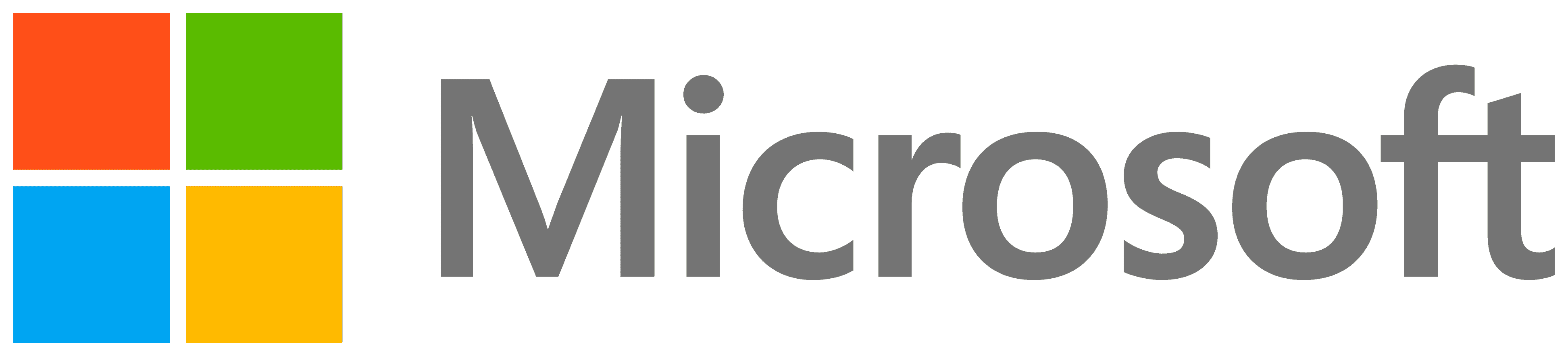 Microsoft Partner (verificado)